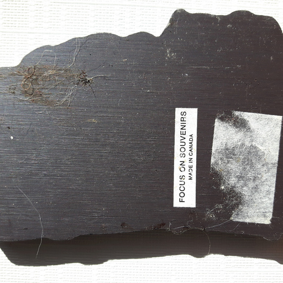 Mississippi Fridge Magnet Tunica Gold Strike - Picture 2 of 2